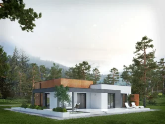 Каркасно-панельный дом с плоской крышей AET-217