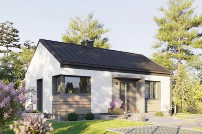 Изображение Каркасно-панельный дом с террасой AET-195